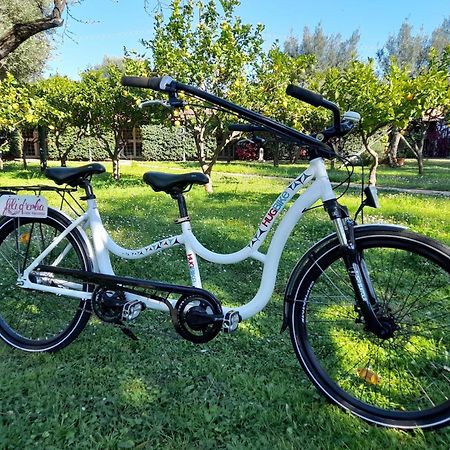 Fili D'Erba Cilento Villa Villammare Eksteriør bilde