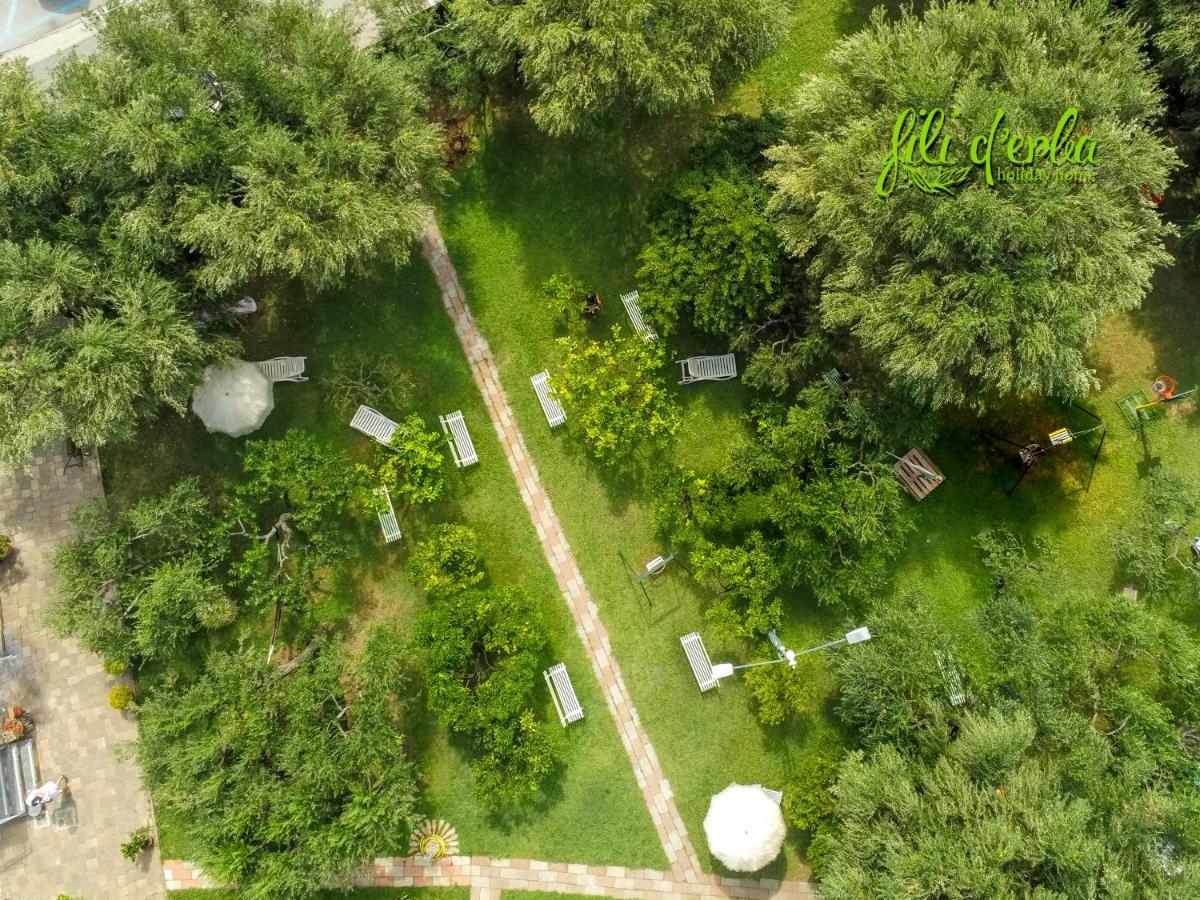 Fili D'Erba Cilento Villa Villammare Eksteriør bilde