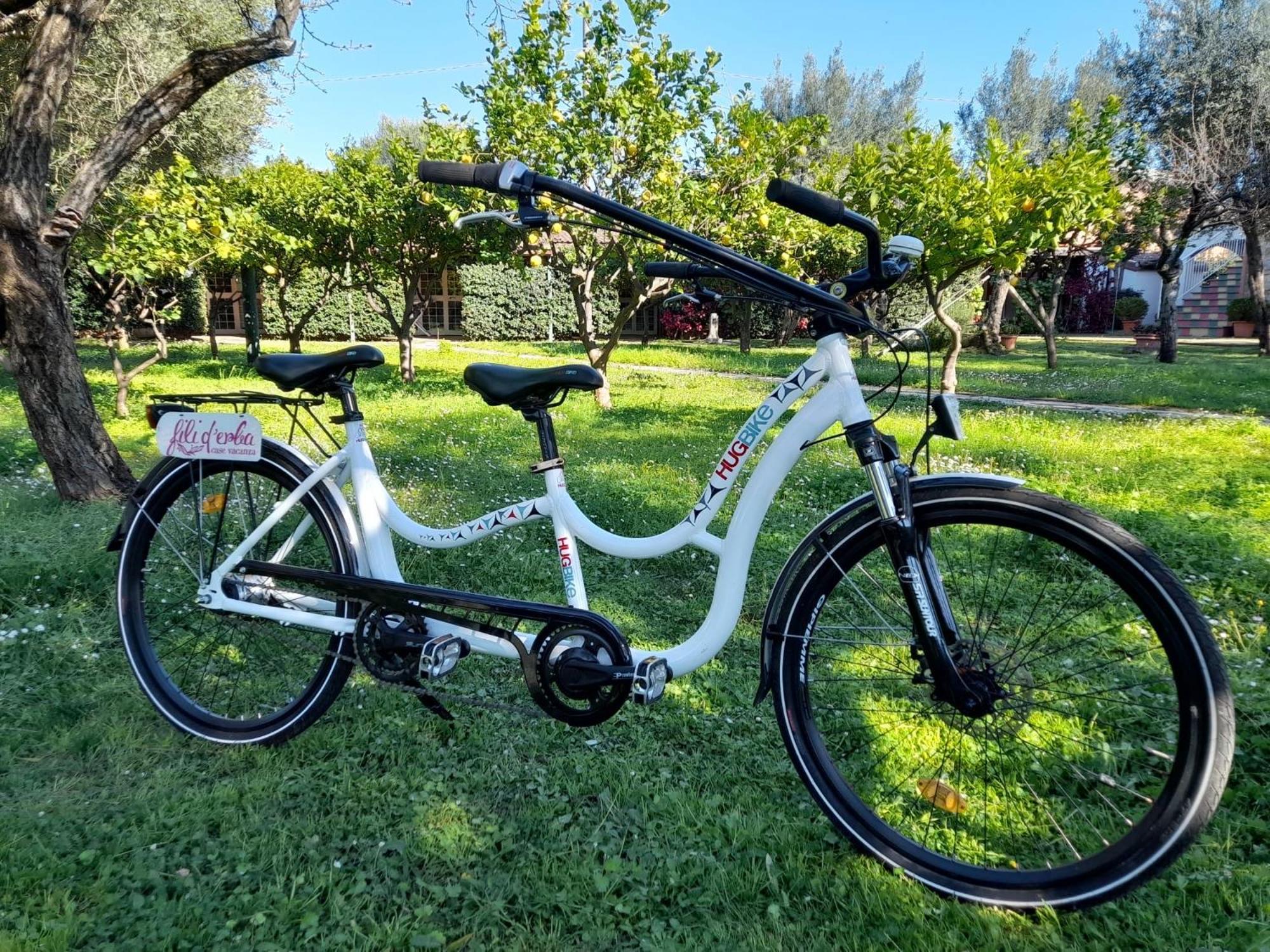 Fili D'Erba Cilento Villa Villammare Eksteriør bilde