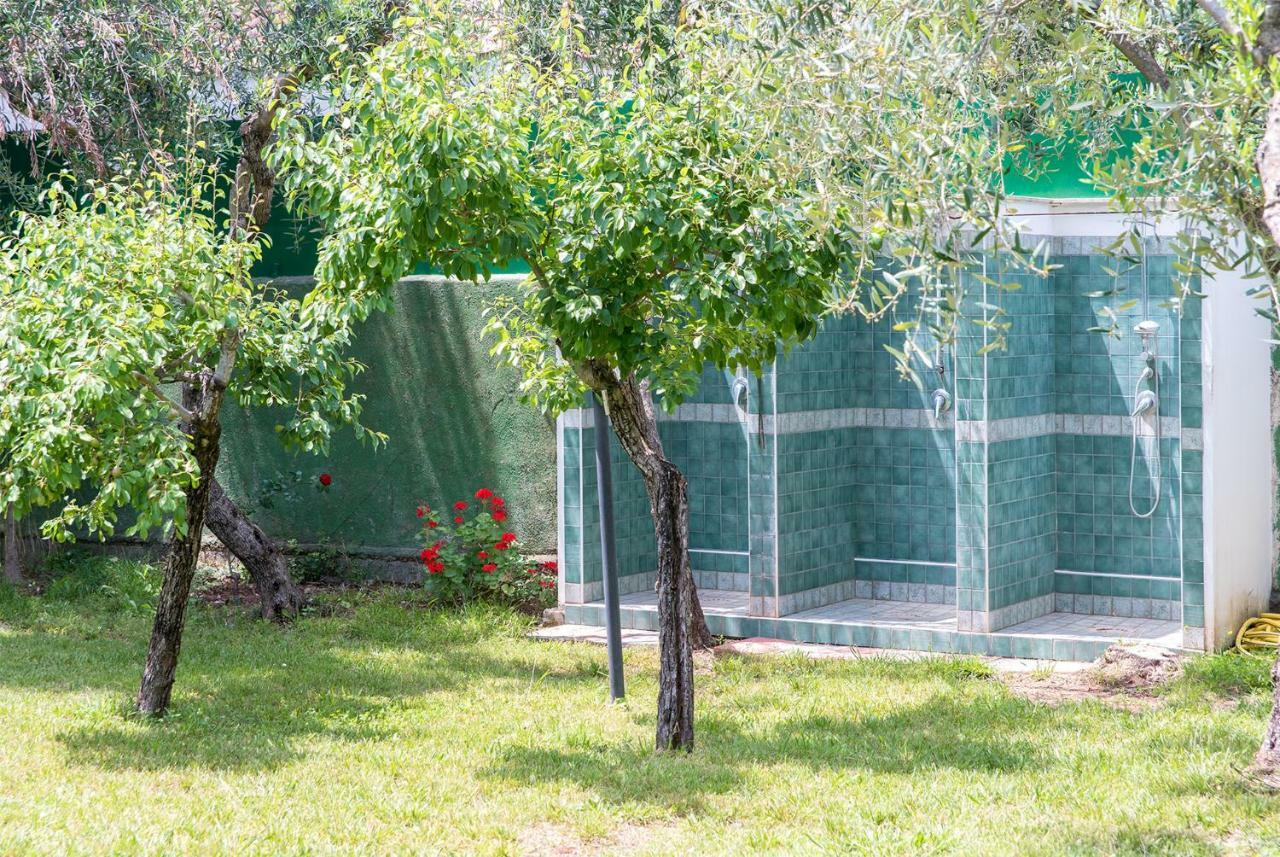 Fili D'Erba Cilento Villa Villammare Eksteriør bilde