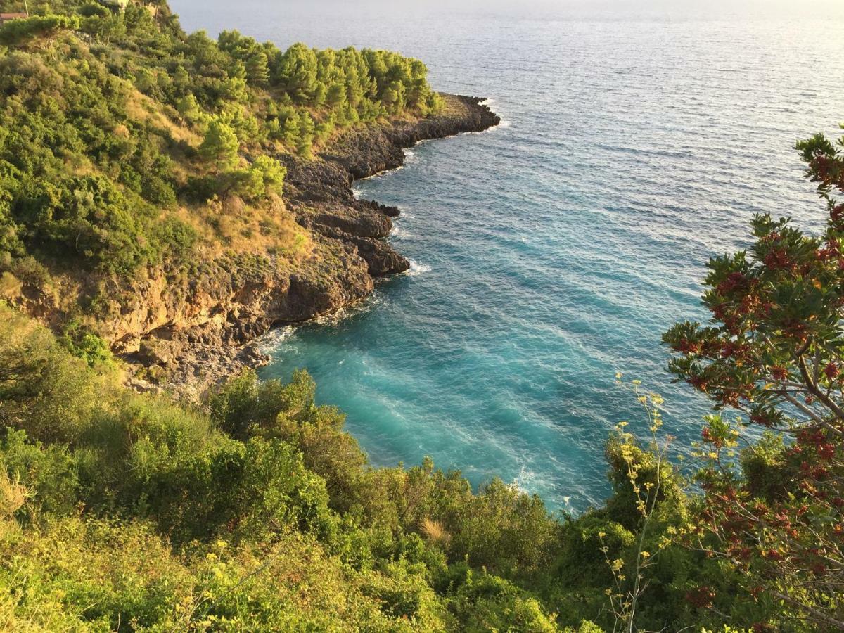 Fili D'Erba Cilento Villa Villammare Eksteriør bilde