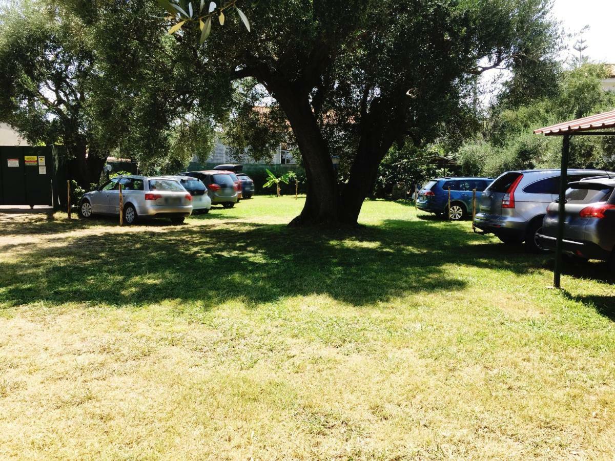 Fili D'Erba Cilento Villa Villammare Eksteriør bilde
